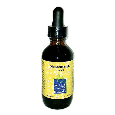 Teasel-Root-Tincture-2-Oz